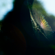 Illustration for article titled Shooting Challenge: Bugs Gallery (Part 5)